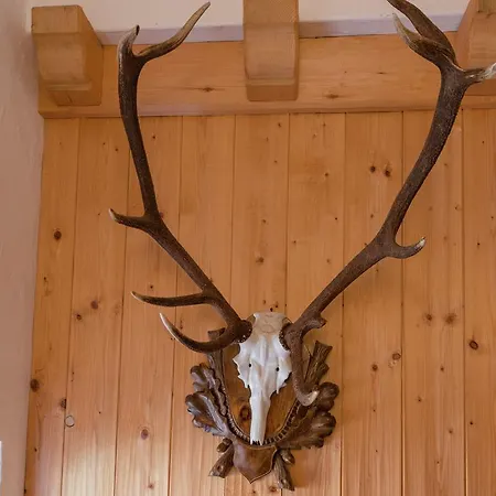 Chalet Chalet Vielehen Wald im Pinzgau